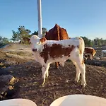Дом отдыха Sommaroe