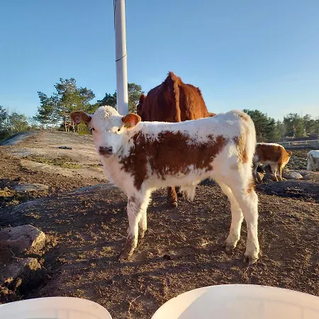 Vakantiehuis Sommaroe