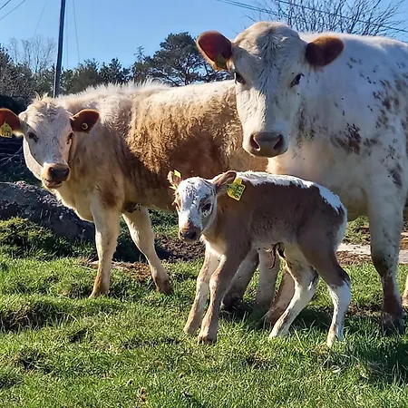 Sommaroe Vakantiehuis *