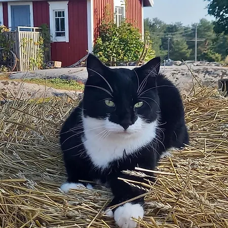 Сasa de vacaciones Sommaroe Föglö