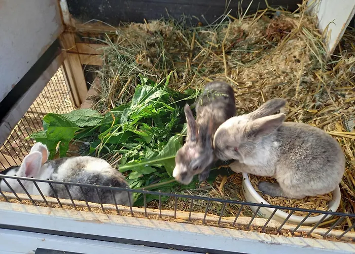 Sommaroe 度假居 Föglö